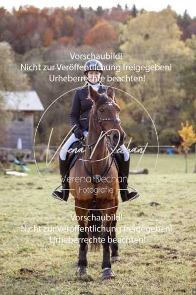 Schleppjagd_Dießen-005-2