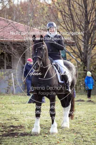 Schleppjagd_Dießen-022-2