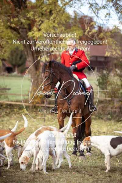 Schleppjagd_Dießen-043-2