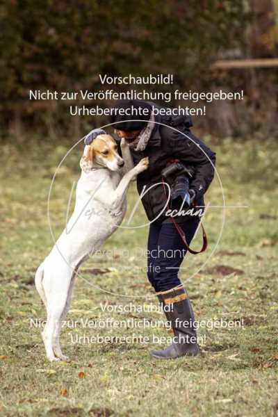 Schleppjagd_Dießen-058-2