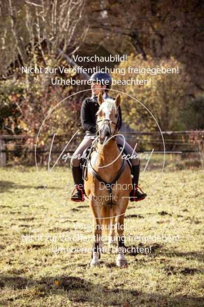 Schleppjagd_Dießen-062