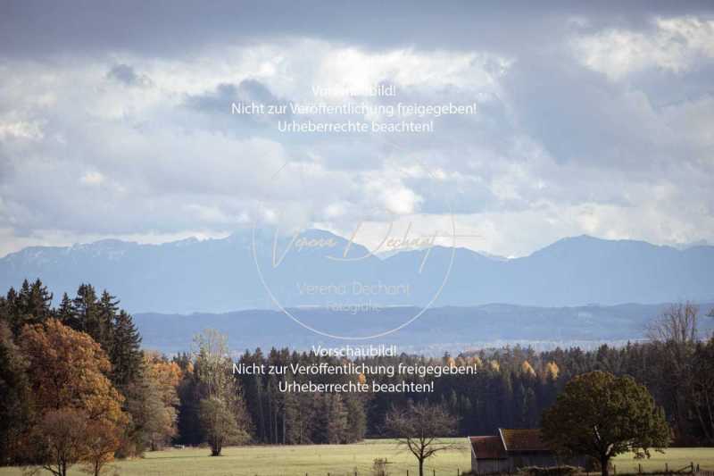 Schleppjagd_Dießen-123