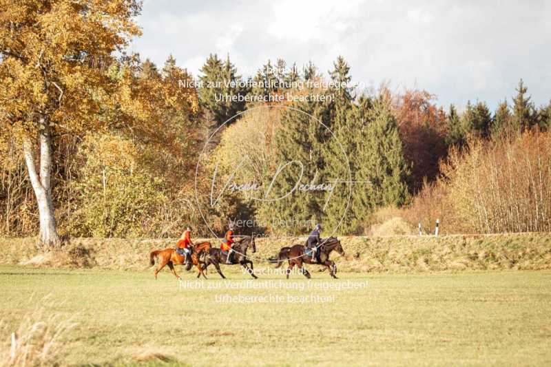 Schleppjagd_Dießen-151