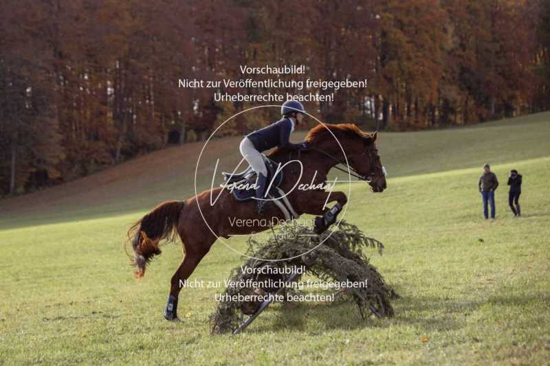 Schleppjagd_Dießen-411