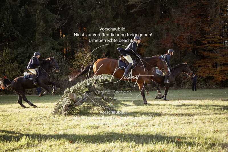 Schleppjagd_Dießen-609