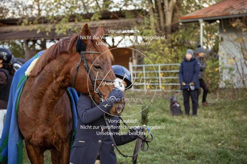 Schleppjagd_Dießen-922