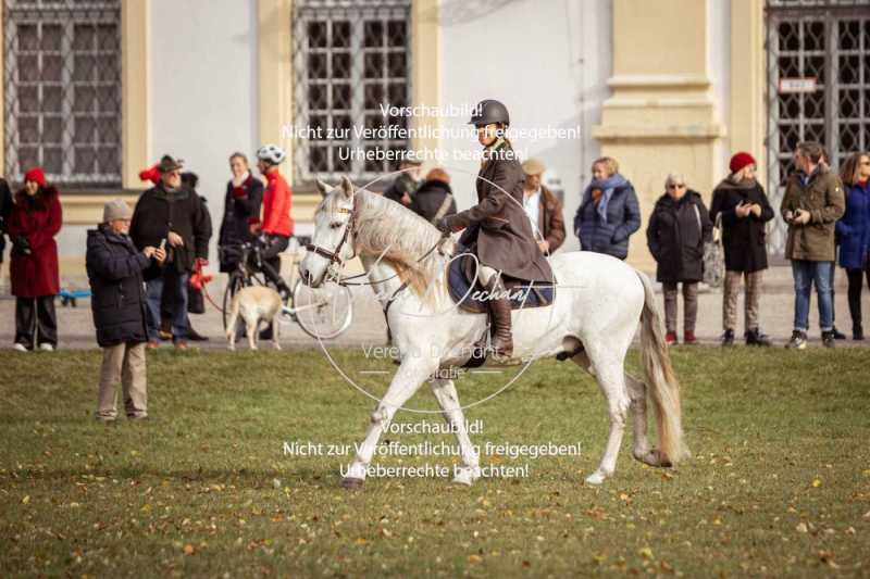 Schloss_Schleissheim-020