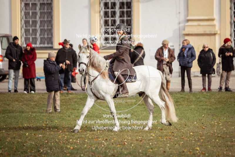 Schloss_Schleissheim-021