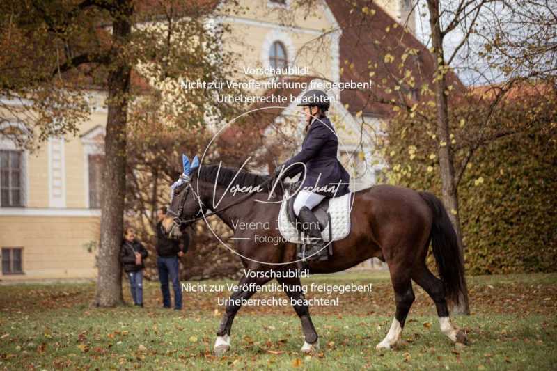 Schloss_Schleissheim-044