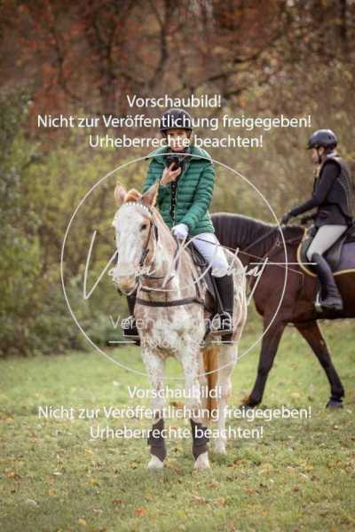 Schloss_Schleissheim-133
