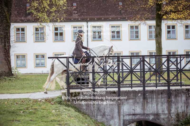 Schloss_Schleissheim-370-2