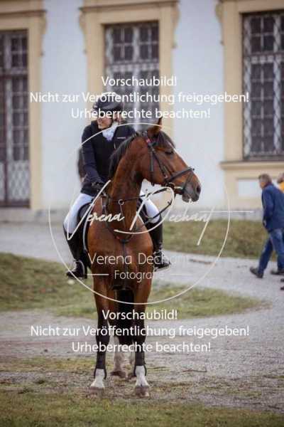 Schloss_Schleissheim-513