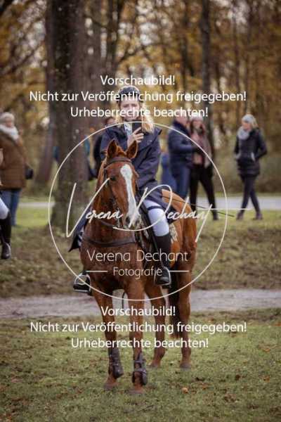 Schloss_Schleissheim-522