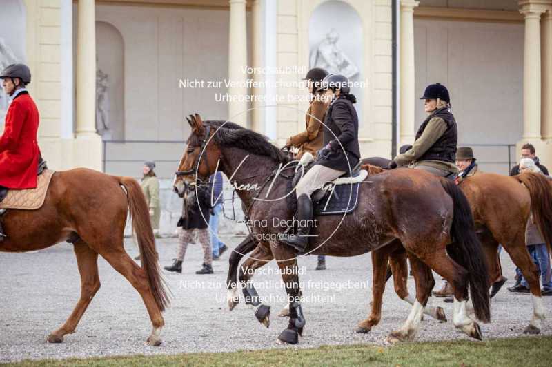 Schloss_Schleissheim-562