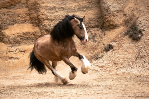 Sandgrubenshooting Verena Dechant Sandgrube Fotoshooting Bayern Niederbayern Fotografie