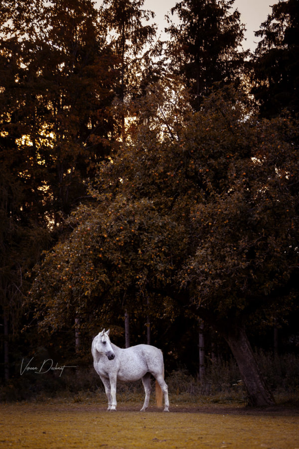 Fotografentreffen Landshut