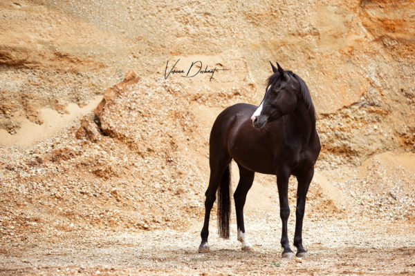 Sharina in der Sandgrube