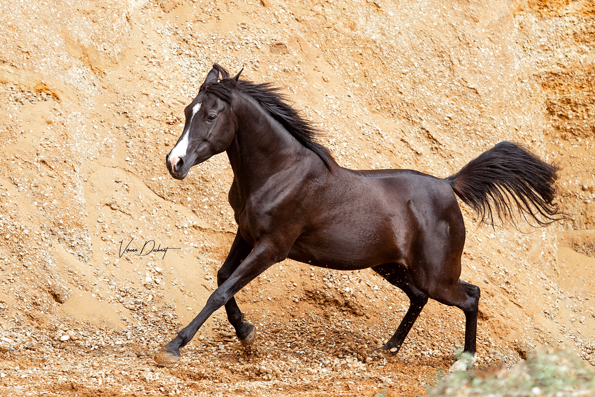 Sharina in der Sandgrube