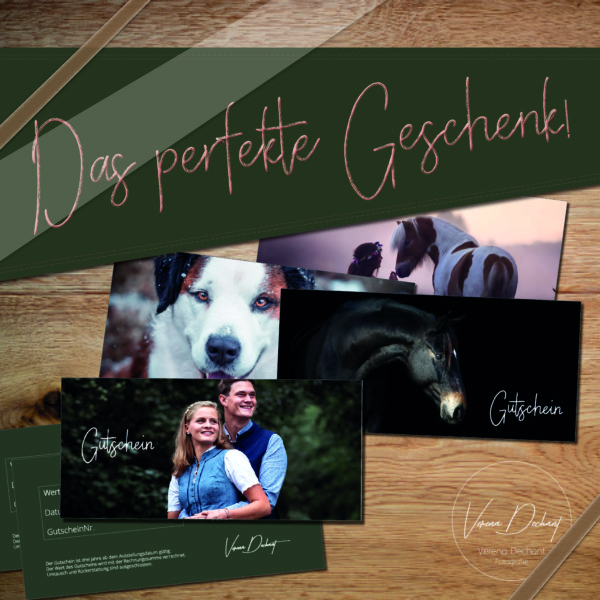 Gutscheine
