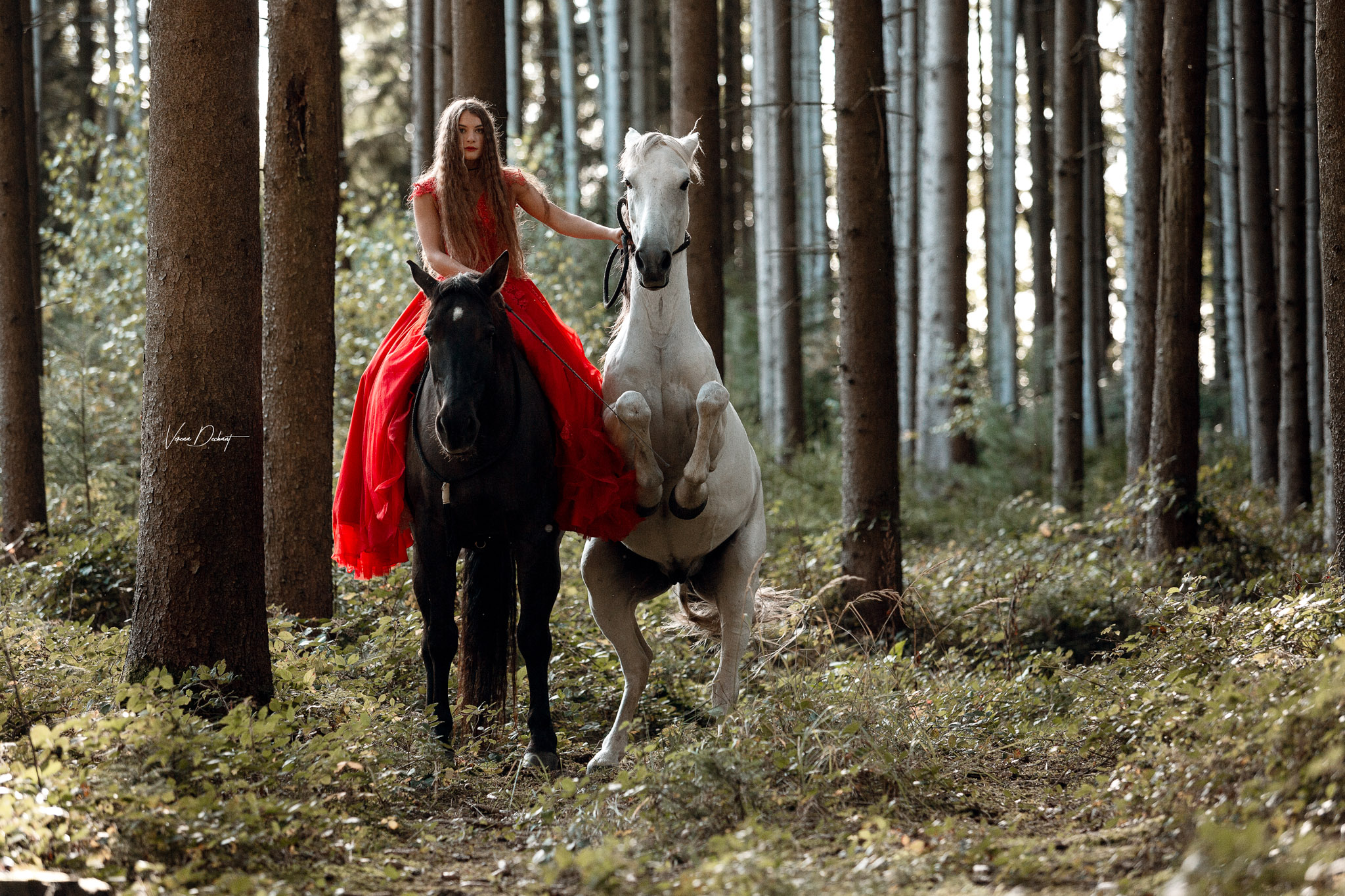 Jana und Bolero Jana und Bolero