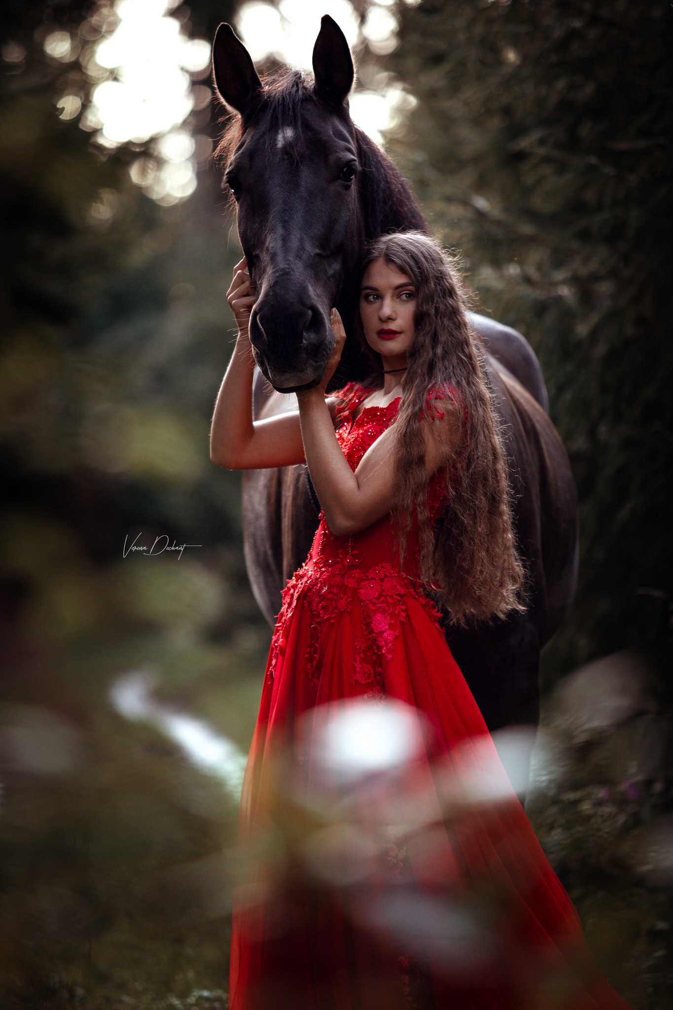 Jana und Bolero Jana und Bolero