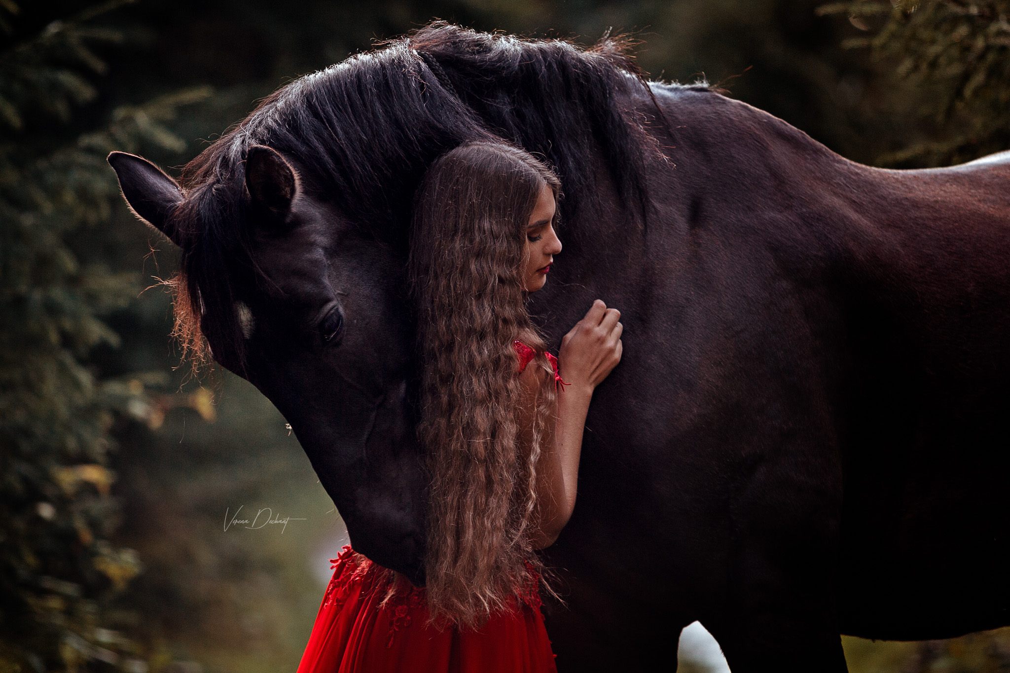 Jana und Bolero Jana und Bolero