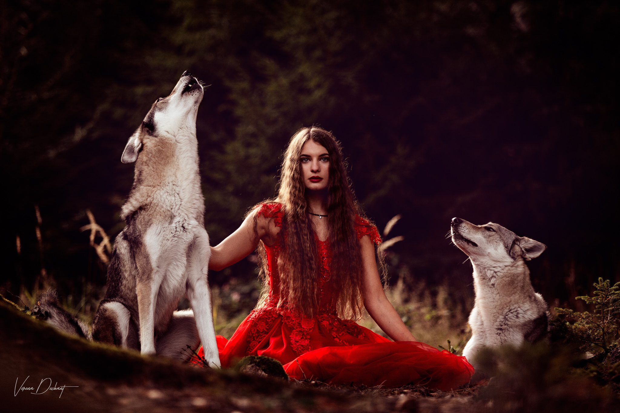 Jana und ihre Wolfshunde Jana und ihre Wolfshunde