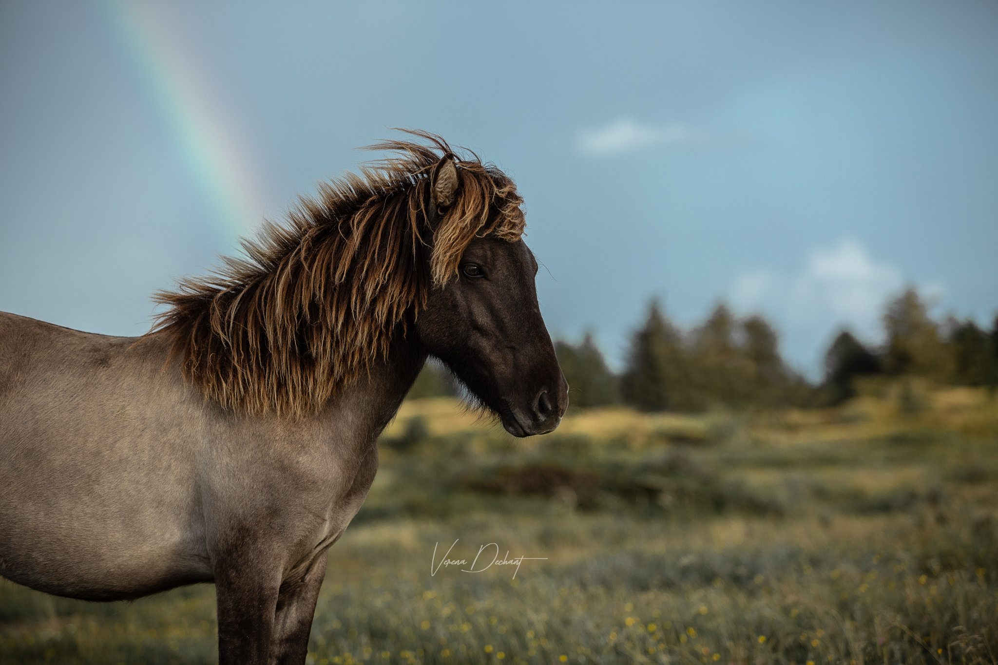 unbenannt-36326-Bearbeitet-Bearbeitet