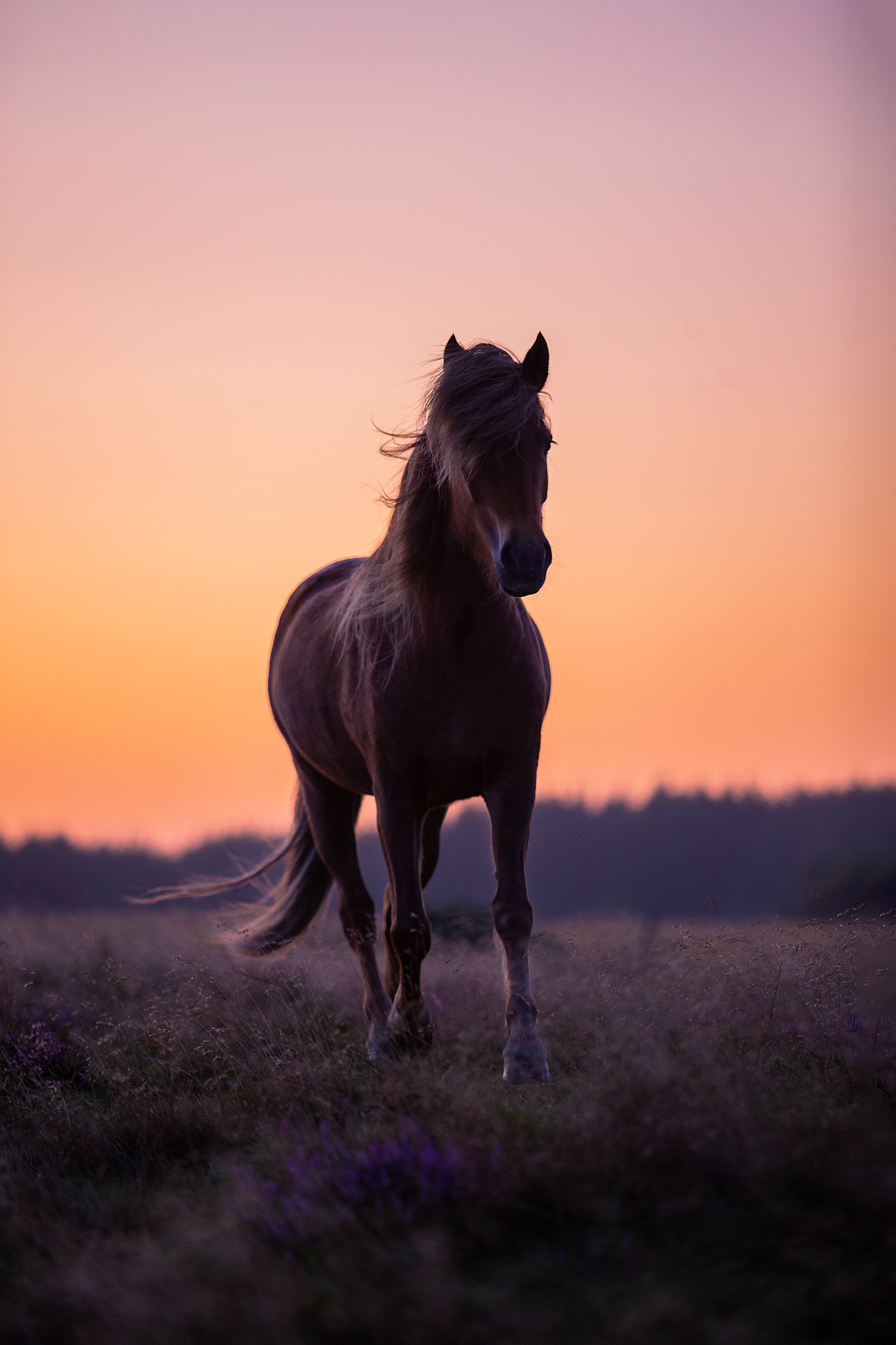Sonnenaufgang Sonnenaufgang