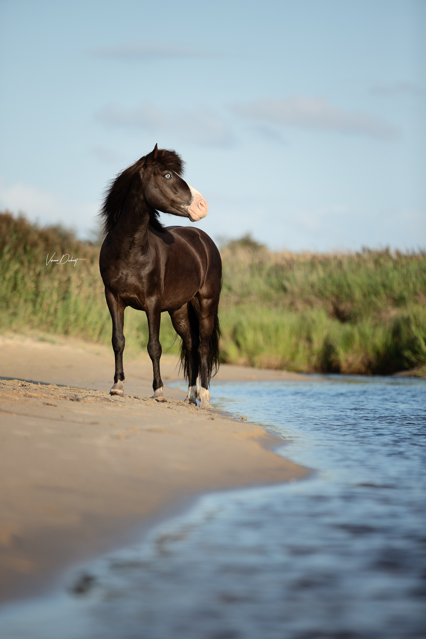 unbenannt-37508-Bearbeitet-Bearbeitet-2