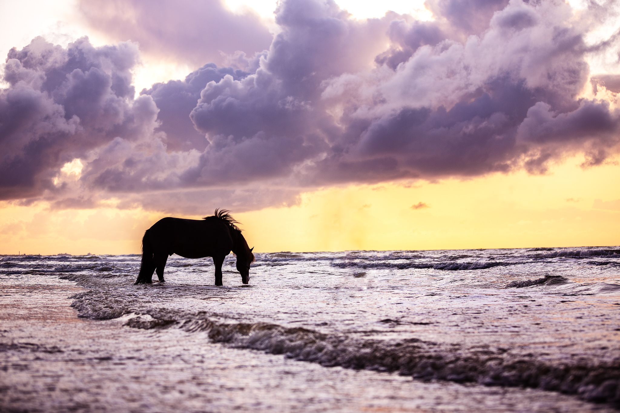 Sonnenuntergang am Strand Sonnenuntergang am Strand