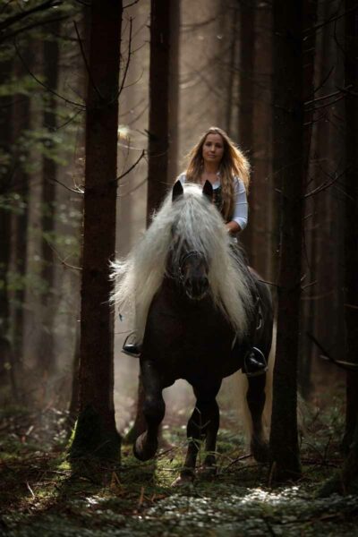 Herbst im Wald (Vormittag) Herbst im Wald (Vormittag)