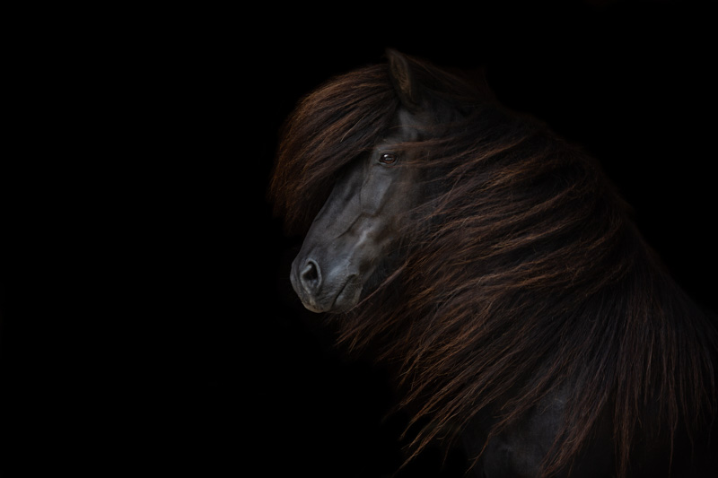 Naskur von Oed Naskur von Oed