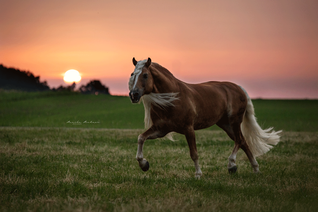 Foto: Annika Aichner Foto: Annika Aichner