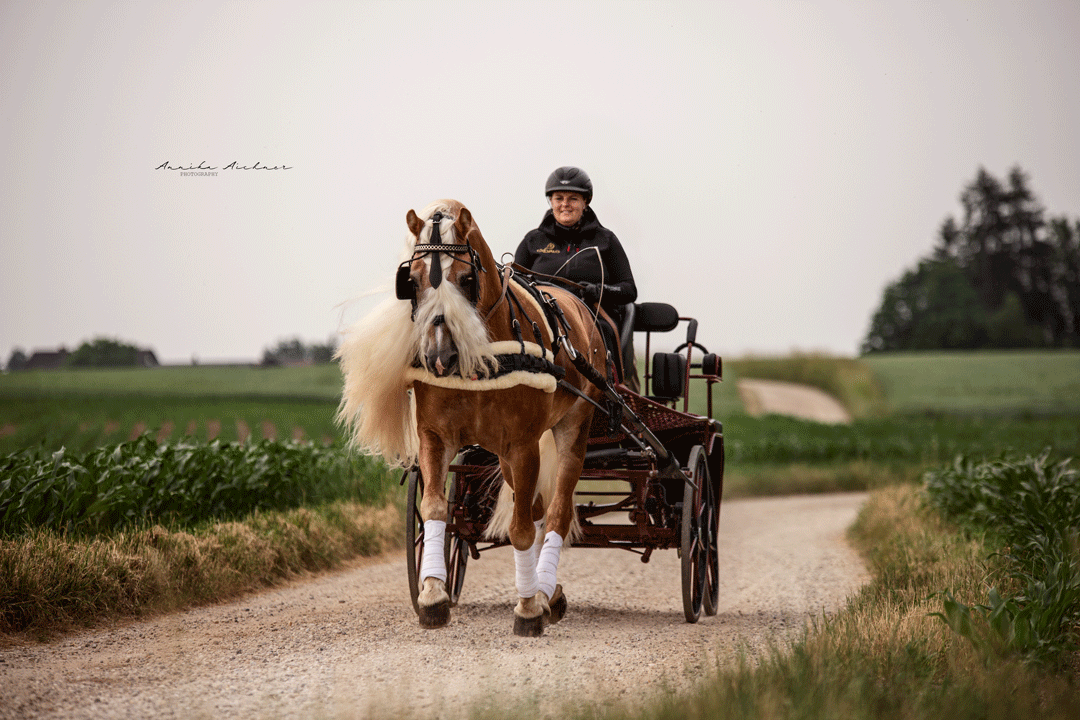 Foto: Annika Aichner Foto: Annika Aichner