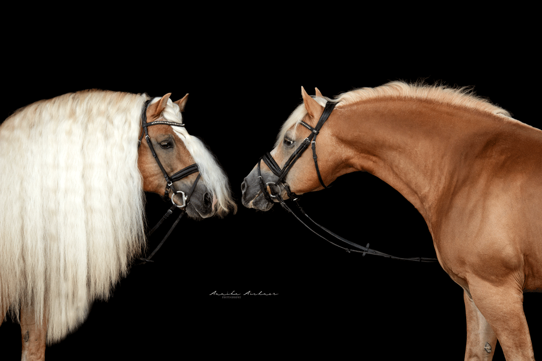 Foto: Annika Aichner Foto: Annika Aichner