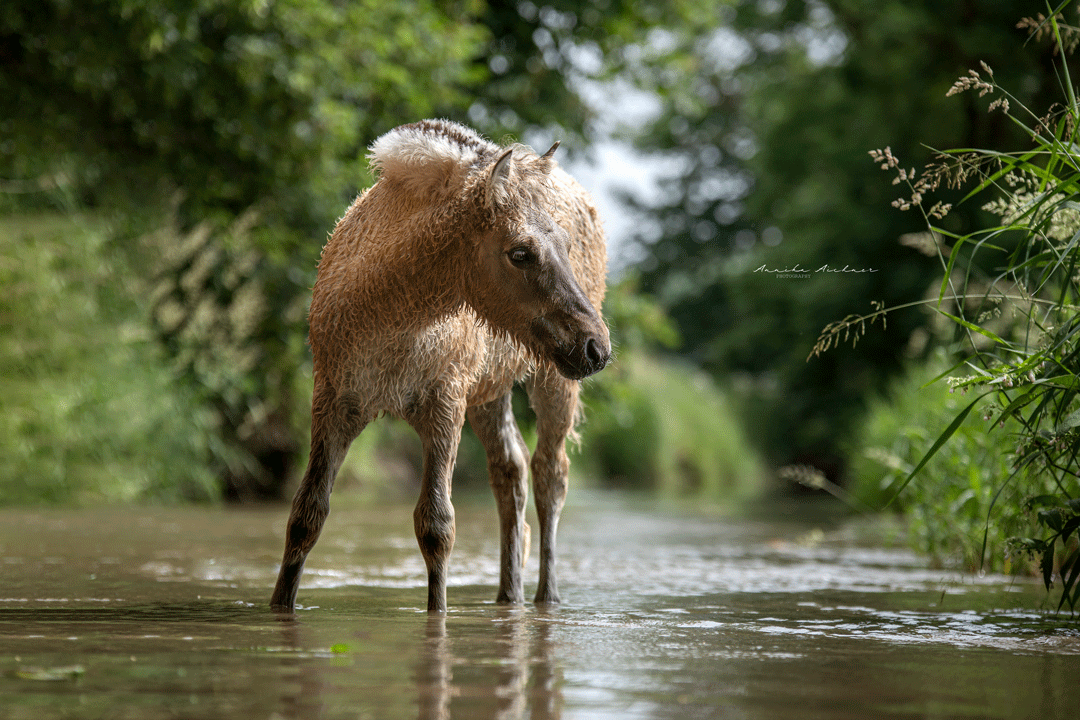 Foto: Annika Aichner Foto: Annika Aichner