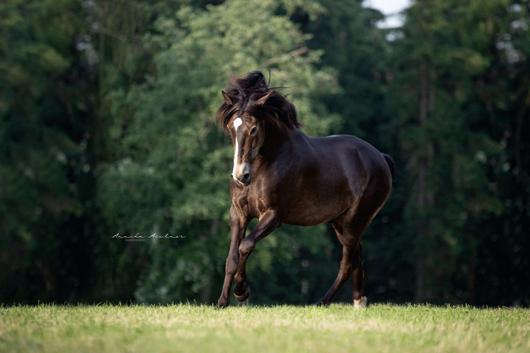 Foto: Annika Aichner Foto: Annika Aichner