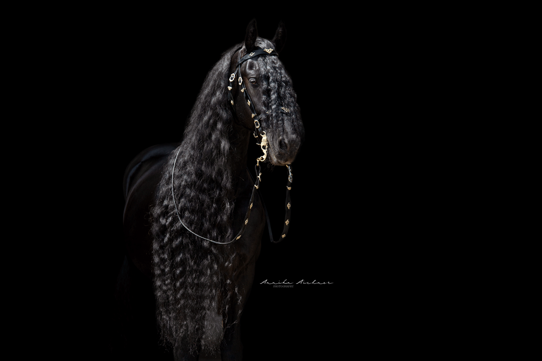 Foto: Annika Aichner Foto: Annika Aichner