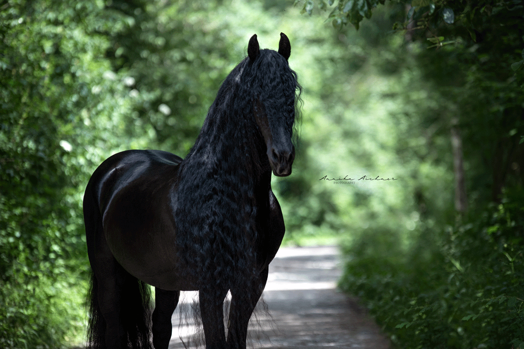 Foto: Annika Aichner Foto: Annika Aichner