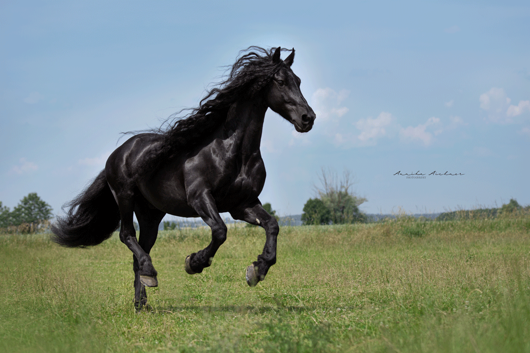 Foto: Annika Aichner Foto: Annika Aichner