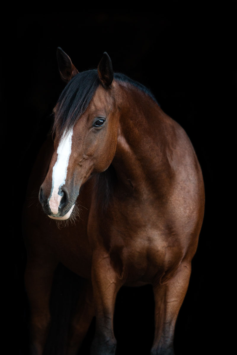 Jahresrückblick 2021 Jahresrückblick 2021