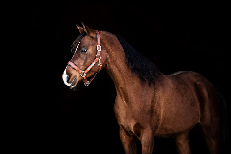 Jahresrückblick 2021