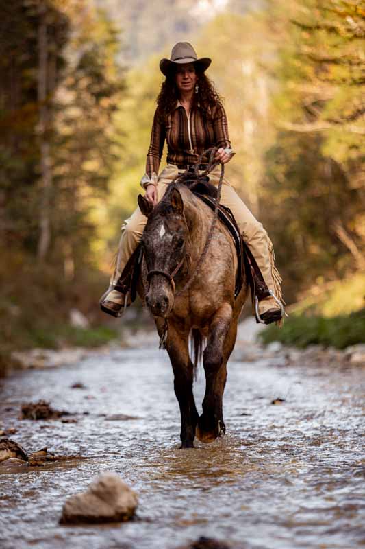 Portfoliotag – Horses & Mountains Portfoliotag - Horses & Mountains