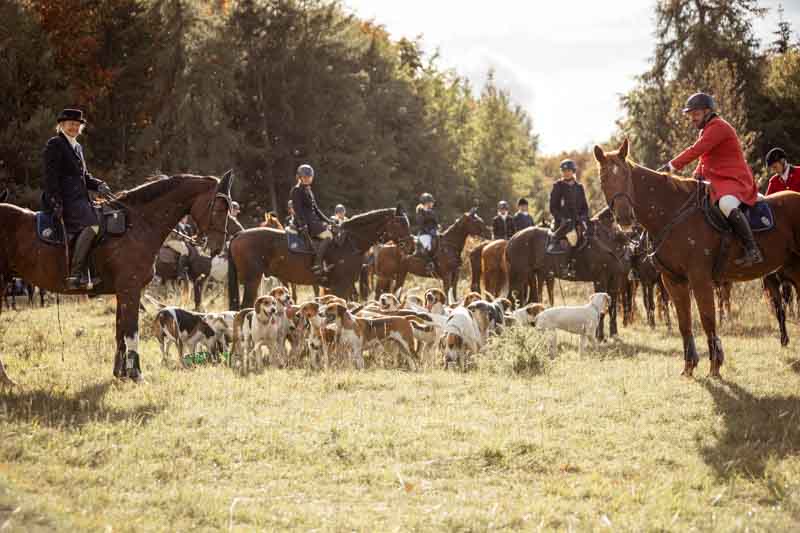 Schleppjagd Harburg 2023-813