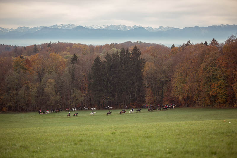 Schleppjagd_Dießen-113