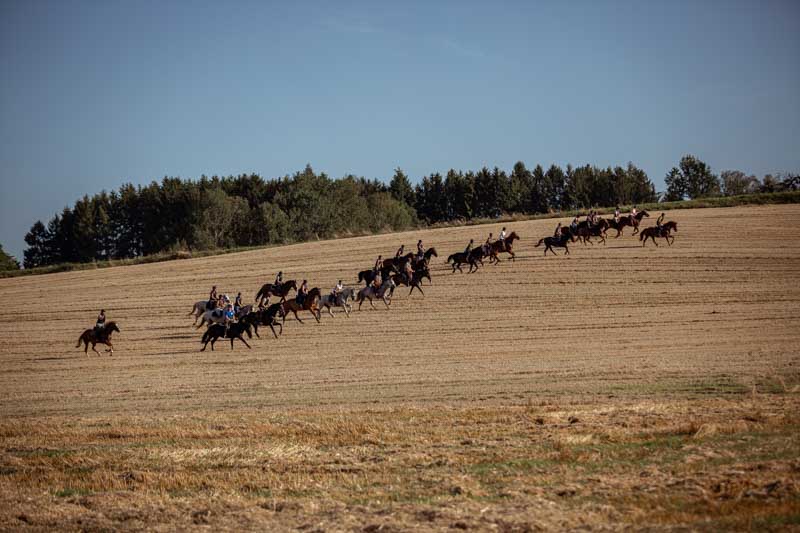 Schleppjagdtraining_2023-283